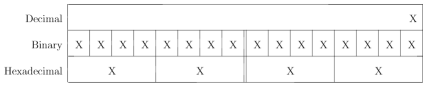 Example table layout showing three rows: decimal, binary, and hexadecimal, with 'X' as a placeholder for all digits